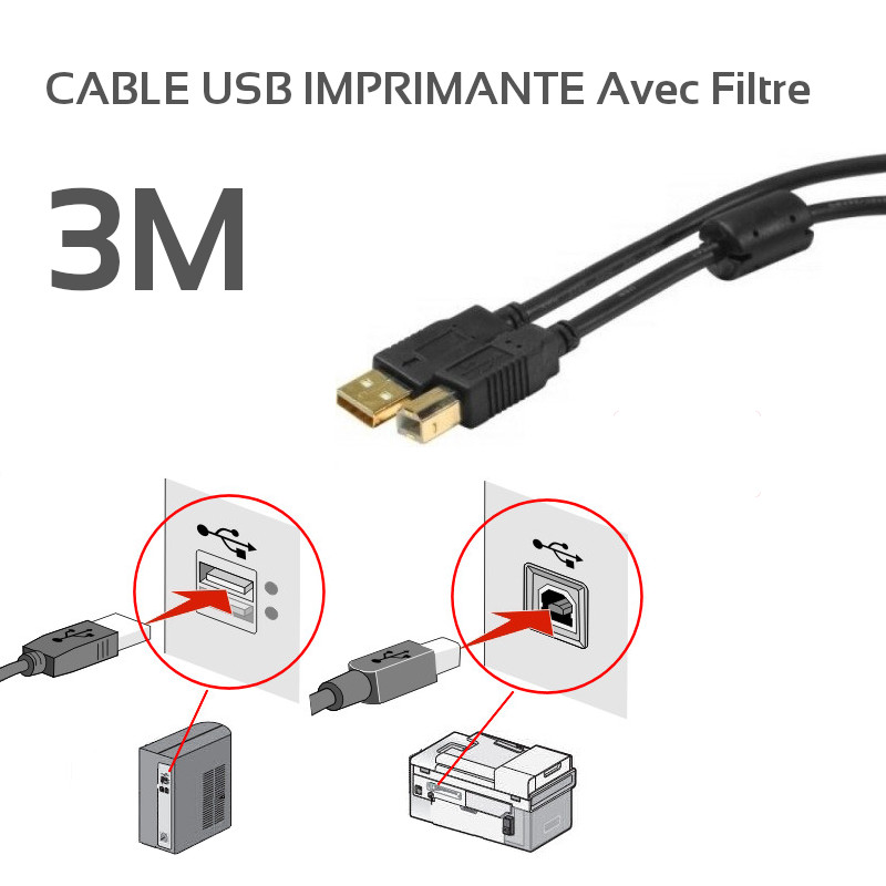 Câble USB A Standard USB 3m Transparent spécial pour imprimante