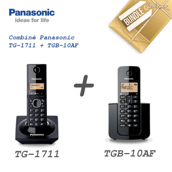 Bundle Combiné Panasonic TG-1711 + TGB-10AF