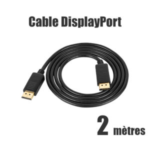 Câble DisplayPort (2 mètres) mâle mâle Noir