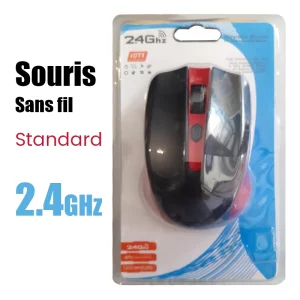 Souris sans fil Standard 2.4GHz 1200 DPI