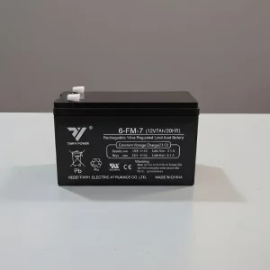 batterie onduleur 12V 7AH Tianyi