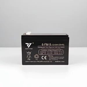 batterie onduleur 12V 9AH Tianyi